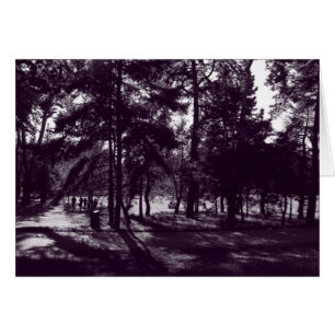 Afternoon in the Park (Purple Toned BW)