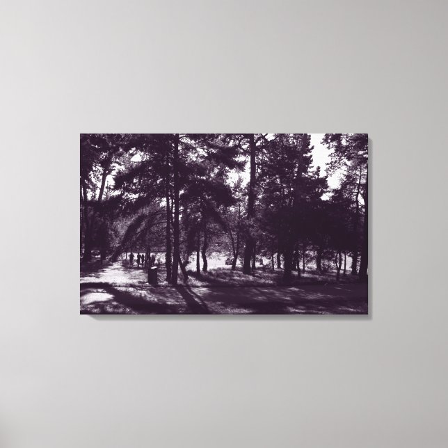 Afternoon in the Park (Purple Toned BW) Canvas Print (Front)