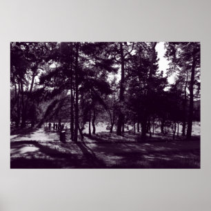 Afternoon in the Park (Purple Toned) Poster