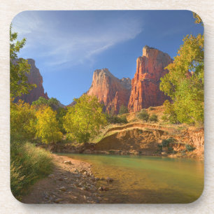 Afternoon In Zion National Park Coaster