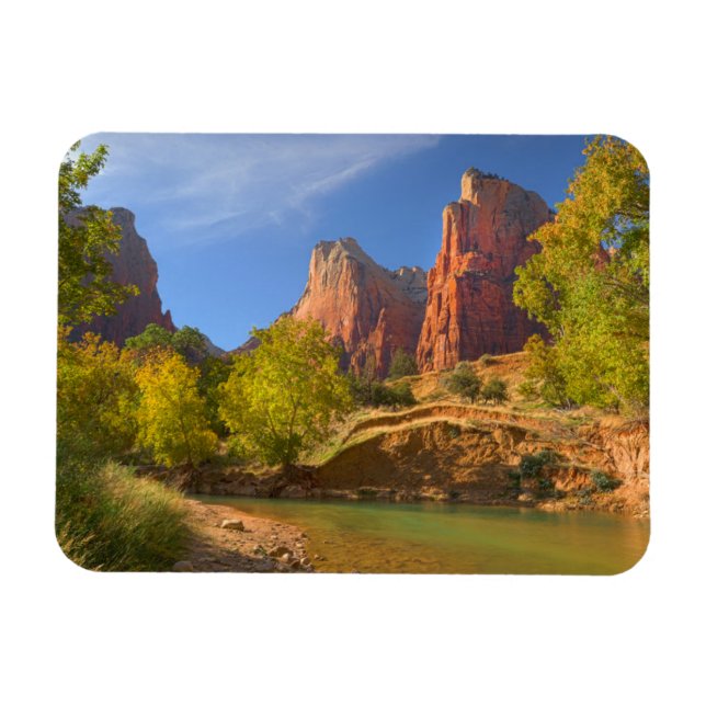 Afternoon In Zion National Park Magnet (Horizontal)