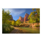 Afternoon In Zion National Park