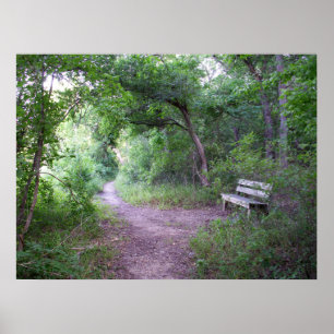 Afternoon shade in the forest poster