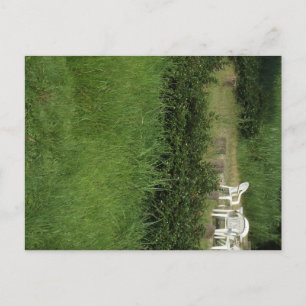 Afternoon tea time in an English garden Postcard