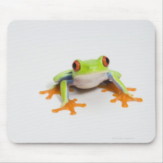 Agalychnis callidryas on white background mouse pad