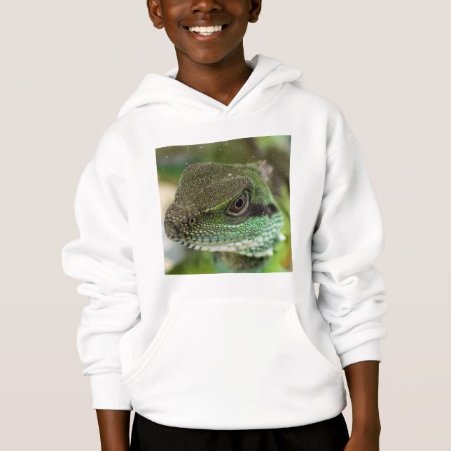 Agama, lézard (Devant)