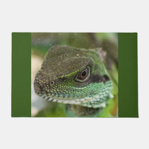 Agama, lizard doormat