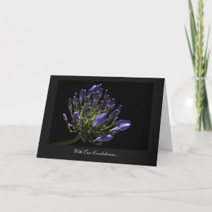 Agapanthus, African Lily - With Our Condolences Card