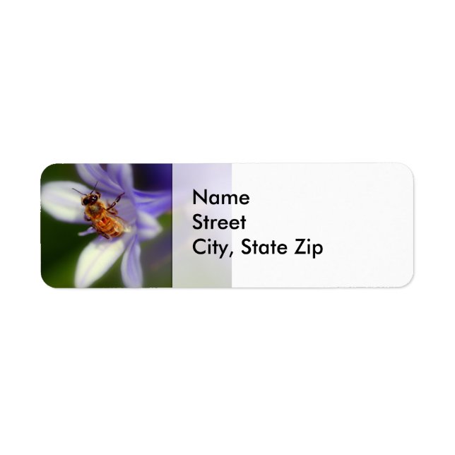 agapanthus africanus, Return Adress Label (Front)