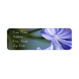 Agapanthus Flower Address Labels