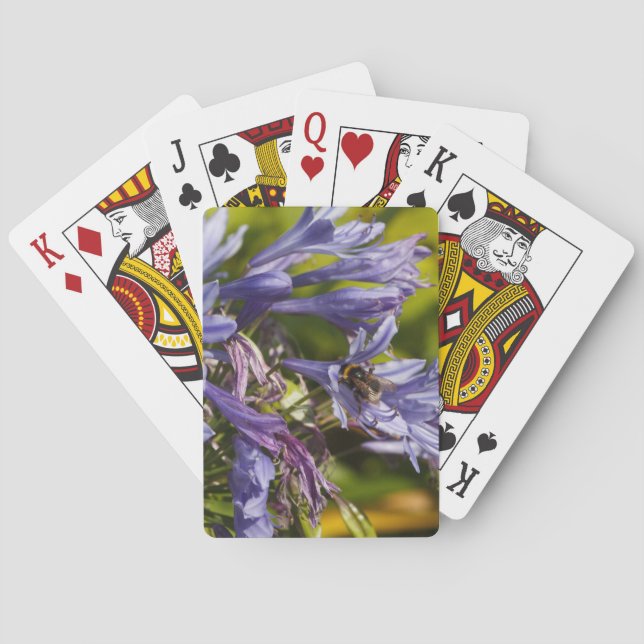 Agapanthus flower and bee playing cards (Back)