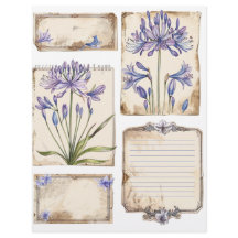 Agapanthus flower Fussy Cut Ephemera