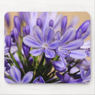 Agapanthus Mouse Pad