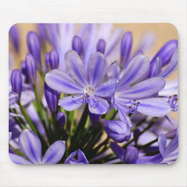 Agapanthus Mouse Pad (Front)