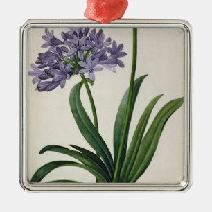 Agapanthus umbrellatus metal ornament