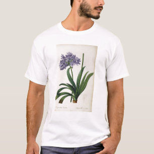 Agapanthus umbrellatus T-Shirt