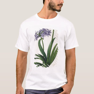 Agapanthus umbrellatus T-Shirt