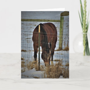 "Agape Acres" Birthday Card