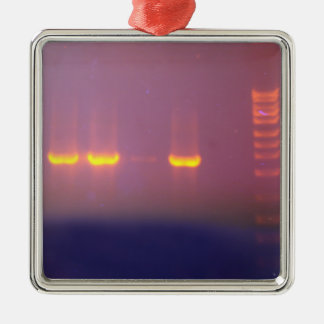 Agarose Gel Electrophoresis Metal Ornament