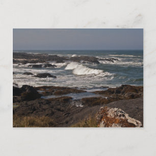 Agate Cove, Oregon Postcard