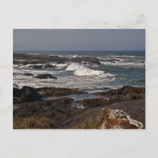 Agate Cove, Oregon Postcard