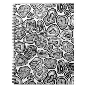 Agate slices in black and white notebook