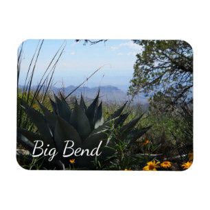 Agave and Wildflowers, Big Bend National Park Magnet