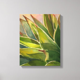 Agave attenuata watercolor by Debra Lee Baldwin Canvas Print