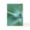 Agave Blank Note Card