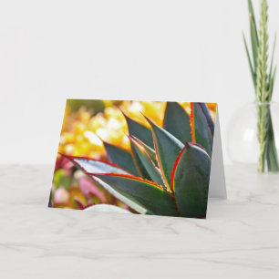 Agave 'Blue Glow' note card by Debra Lee Baldwin
