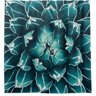 agave cactus, abstract nature background, top view