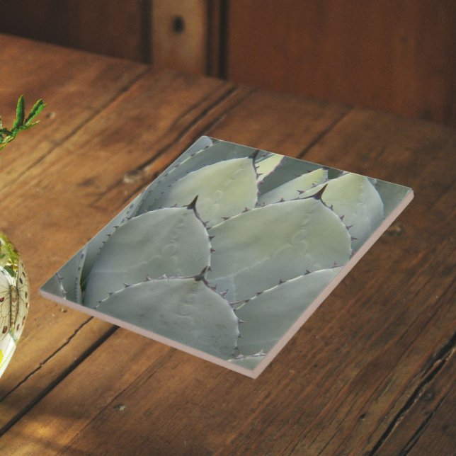 Agave Cactus Plant Southwestern Style Tile (In Situ (Angled))