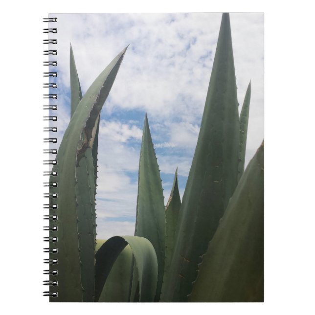 Agave Clouds Notebook (Front)