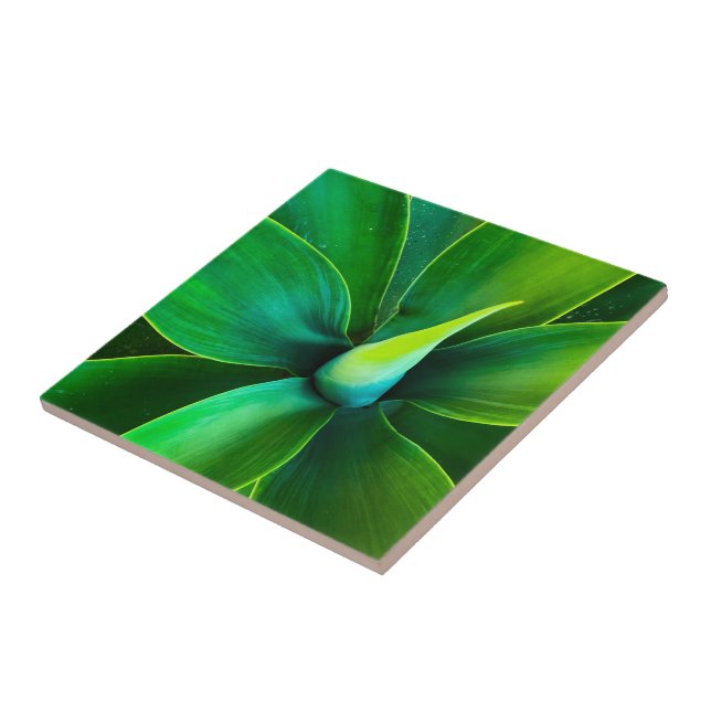 Agave Design Ceramic Tile (Side)