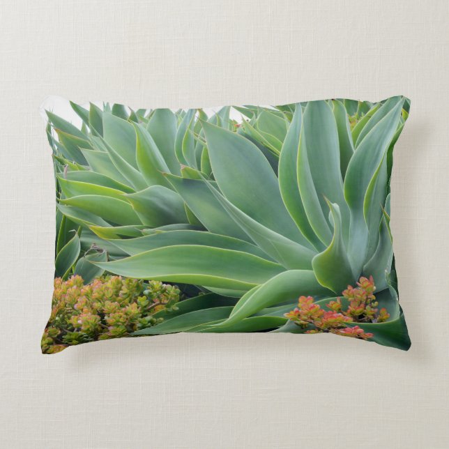 Agave Garden Pillow (Front)