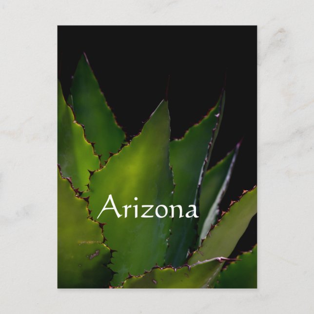 Agave glow Arizona Postcard (Front)