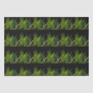 Agave glow tissue paper