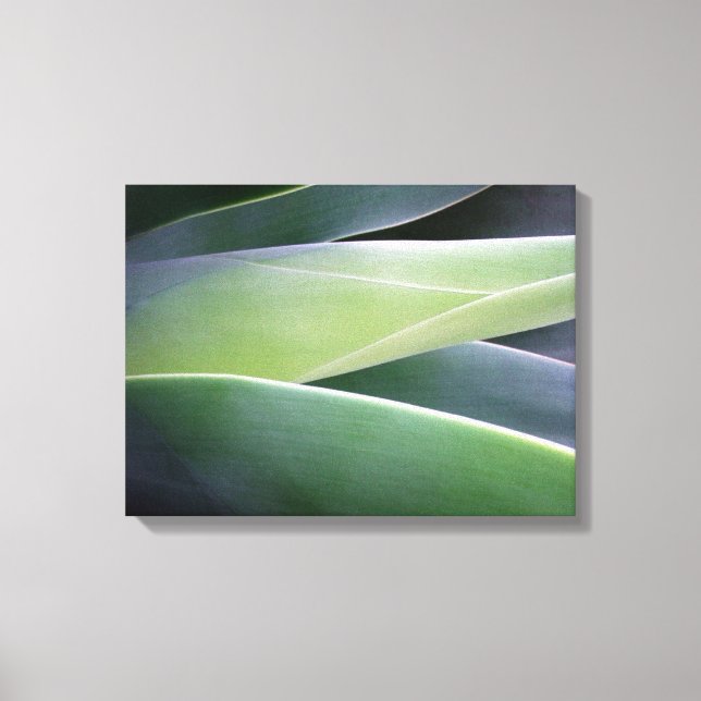 Agave Leaves Canvas Print (Front)