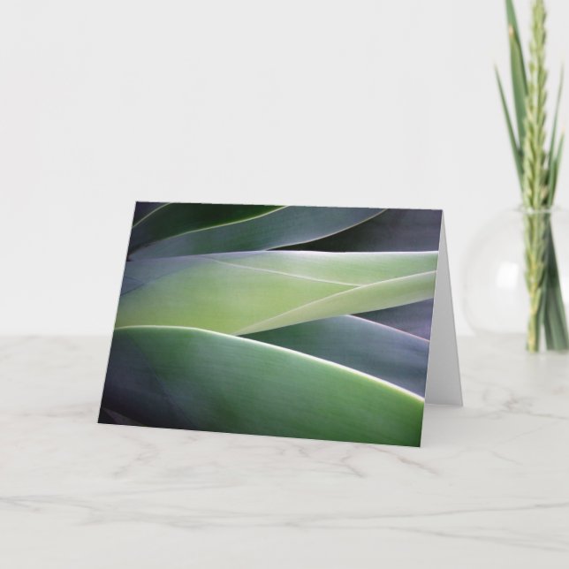 Agave Leaves Card (Front)