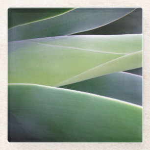 Agave Leaves Glass Coaster