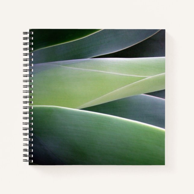 Agave Leaves Notebook (Front)
