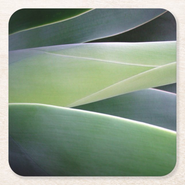 Agave Leaves Square Paper Coaster (Front)