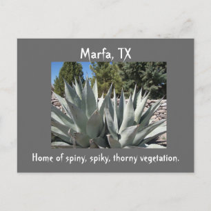Agave Marfa, Texas Postcard