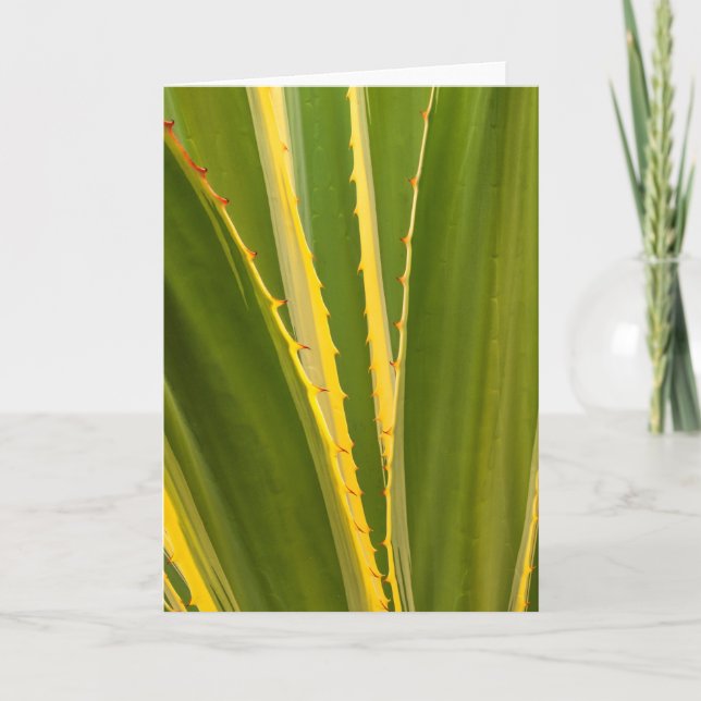 Agave Plant Abstract Card (Front)