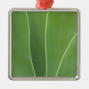 Agave Plant Close Up Metal Ornament