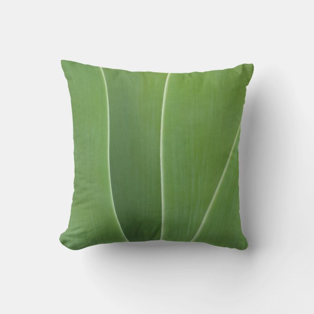 Agave Plant Close Up Throw Pillow (Front)