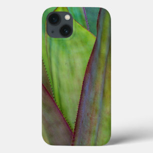 Agave Plant Detail iPhone 13 Case