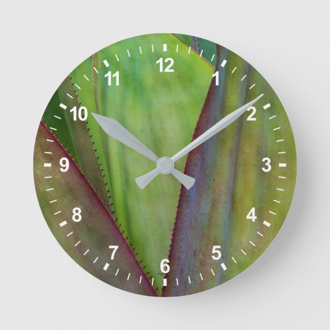 Agave Plant Detail Round Clock (Front)