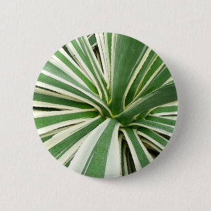 Agave Plant Green and White Striped 2 Inch Round Button