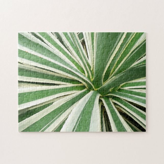 Agave Plant Green and White Striped Jigsaw Puzzle (Horizontal)
